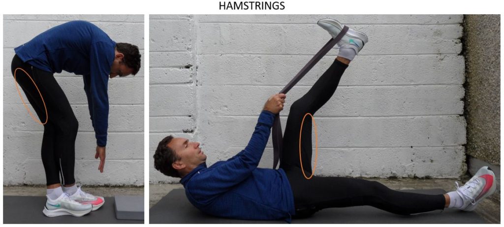 hamstrings stretch