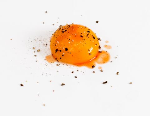 egg yolk