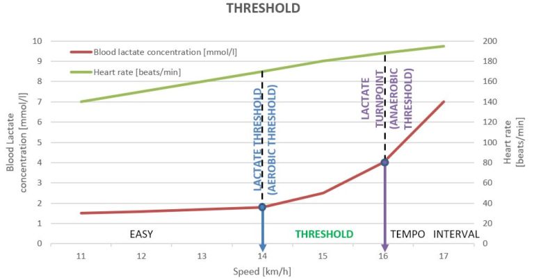 Threshold Pace - Personalized Marathon Training Plans & Online Coaching