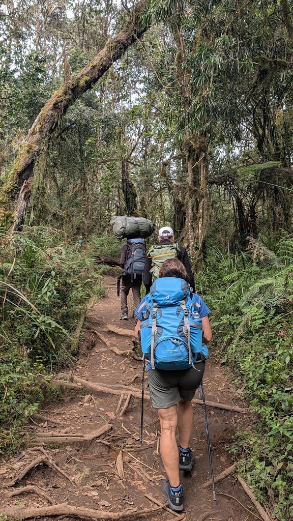 Machame Climb