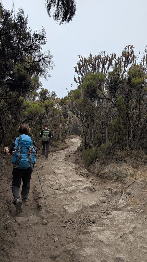 Descent to Mweka Camp